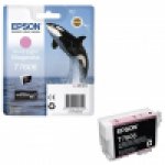 Tusz Epson Singlepack  Vivid Light Magenta |  SureColor SC-P600
